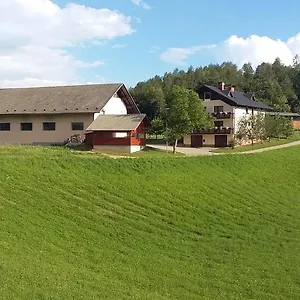 Pensjonat Vrtacnik **